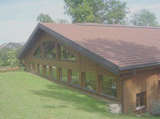 Equine assisted therapy