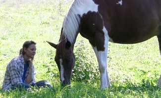 Tao of equus
