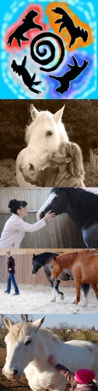 Développement personnel facilité par les chevaux - Formation  la communication non verbale - Monique Miserez