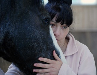 Séjour pédagogique à la ferme en Bourgogne avec Monique MIserez et ses chevaux