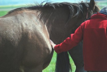 Développement personnel facilité par les chevaux - Monique Miserez