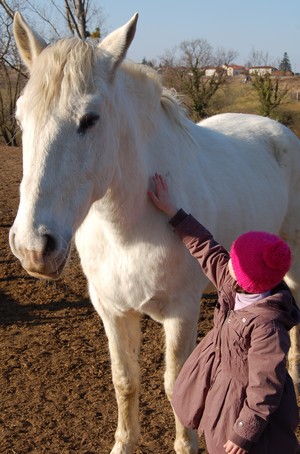 Thérapie en Bourgogne avec le cheval